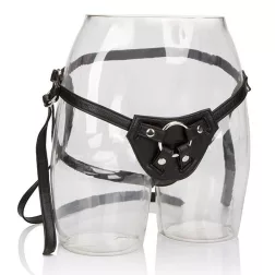 Calexotics – Her Royal Harness The Countess hám
