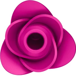   Satisfyer Pro 2 Modern Blossom léghullámos és pulzációs csiklóizgató (pink)