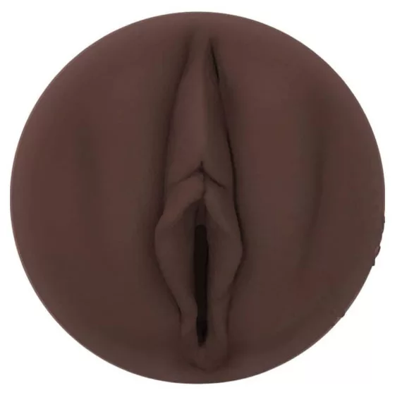 Fleshlight Girls Nicole Kitt punci (Purrrrrfection betéttel)