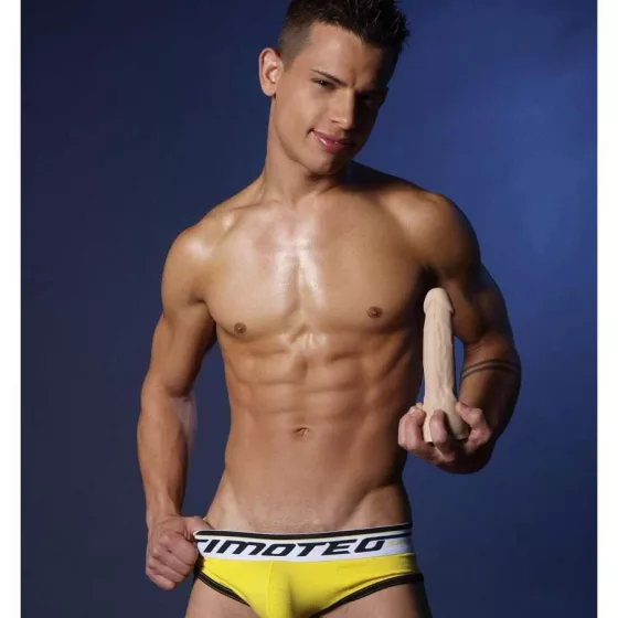 Fleshjack Boys Brent Everett dildó