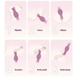   Svakom Emma Neo 2. interaktív okos masszírozó, melegítő funkcióval (lila) (APP-os)